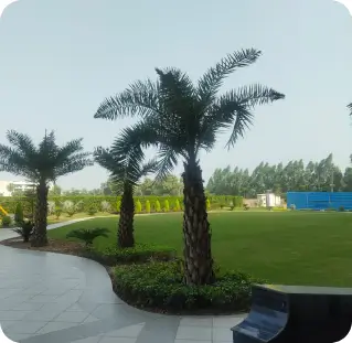 Hi Greens gallery image 4